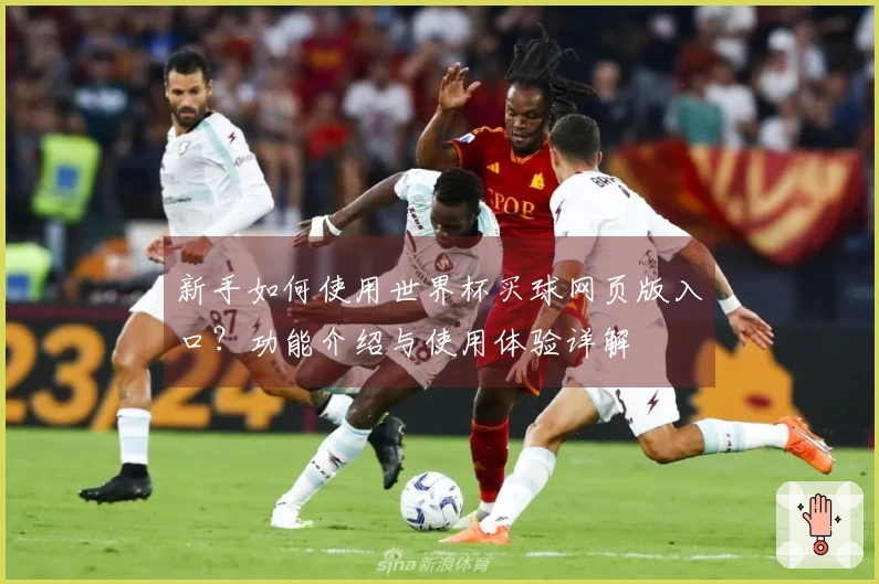 新手如何使用世界杯买球网页版入口?功能介绍与使用体验详解