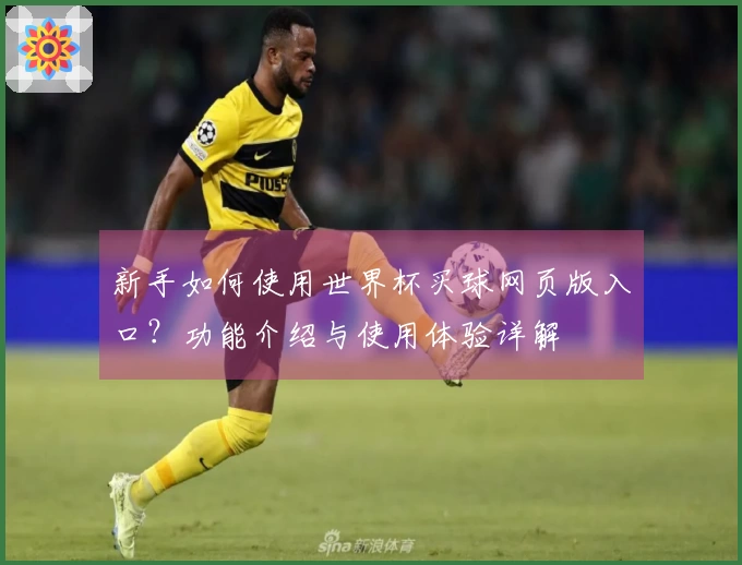 新手如何使用世界杯买球网页版入口？功能介绍与使用体验详解