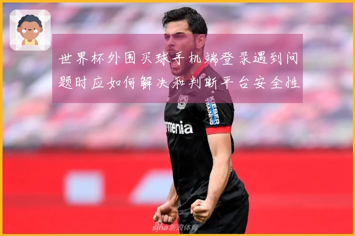 世界杯外围买球手机端登录遇到问题时应如何解决和判断平台安全性