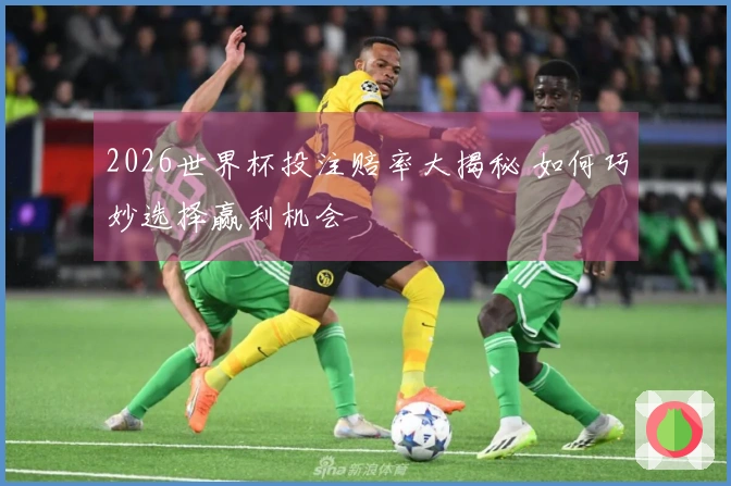 2026世界杯投注赔率大揭秘 如何巧妙选择赢利机会