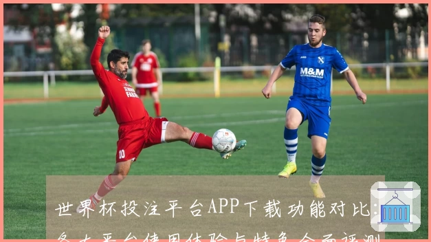世界杯投注平台APP下载功能对比：各大平台使用体验与特色全面评测