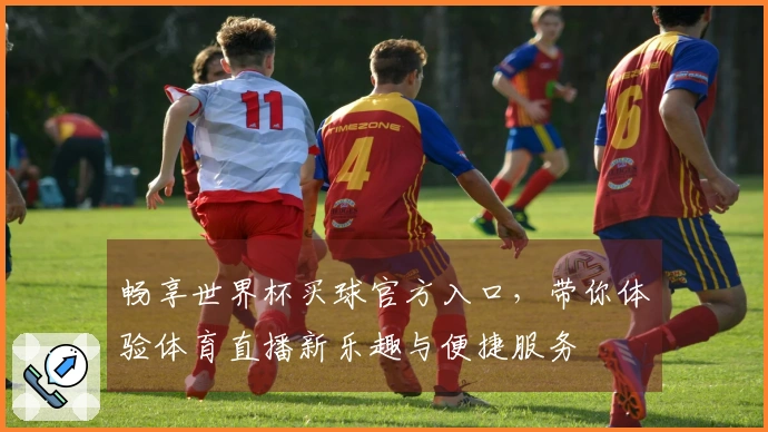 畅享世界杯买球官方入口，带你体验体育直播新乐趣与便捷服务
