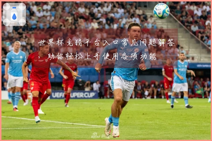 世界杯竞猜平台入口常见问题解答，助你轻松上手使用各项功能
