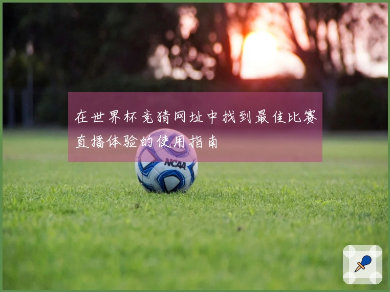 在世界杯竞猜网址中找到最佳比赛直播体验的使用指南