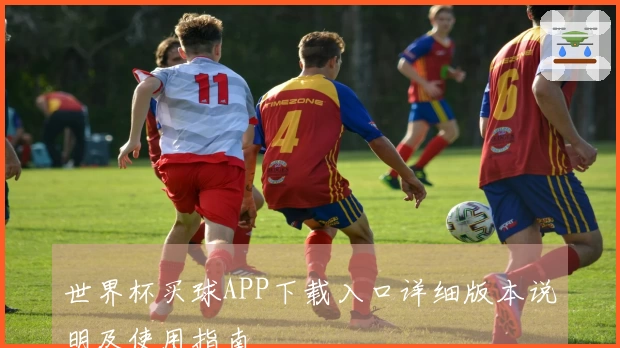 世界杯买球APP下载入口详细版本说明及使用指南